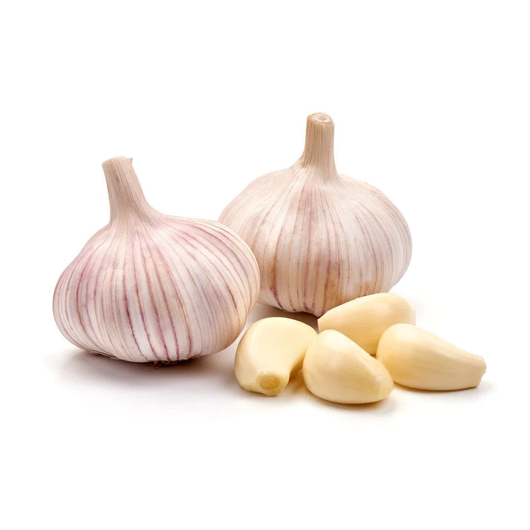 Garlic Net