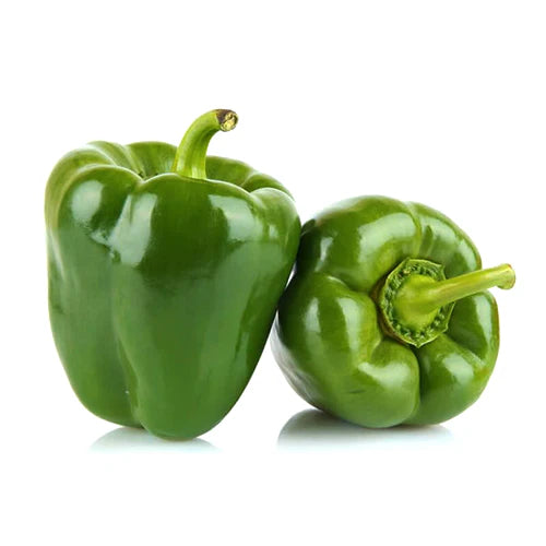 Green Capsicum (Holland)