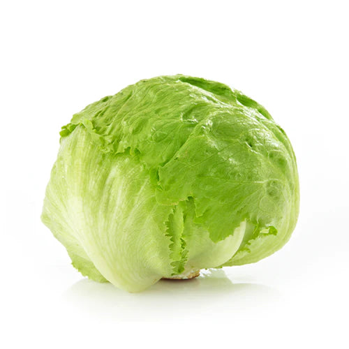 Iceberg Lettuce