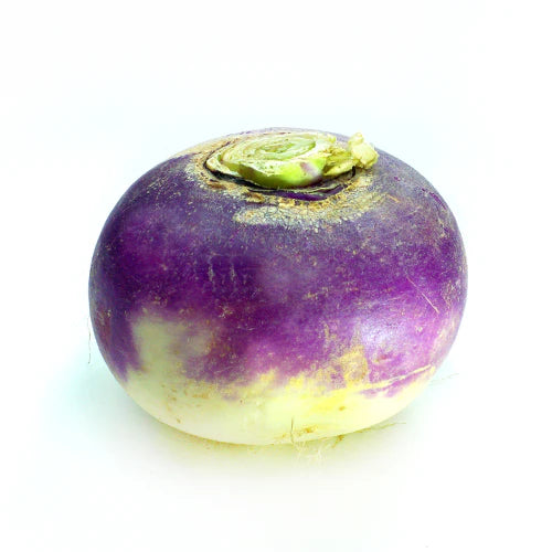 All Vegetables