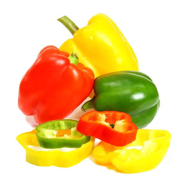 Capsicum - Pack of 3